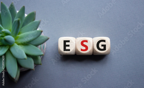 GSG - Environmental, Social and Governance symbol. Concept word GSG on wooden cubes. Beautiful grey background with succulent plant. Business and GSG concept. Copy space. photo