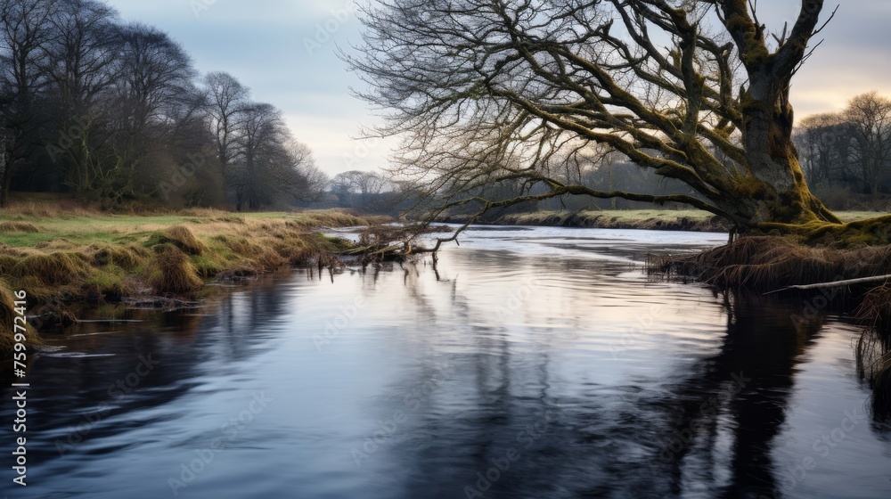Peaceful river and clouds in soft light Peaceful river and clouds in soft light