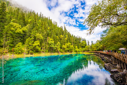 Beautiful view of clear lake at Pearl Beach in Jiuzhaigou, Sichuan, China