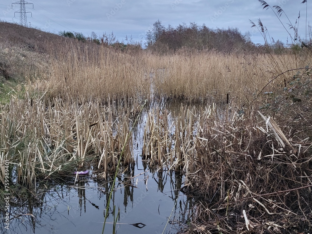 Fototapeta premium Water