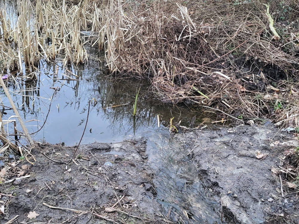 Water Water