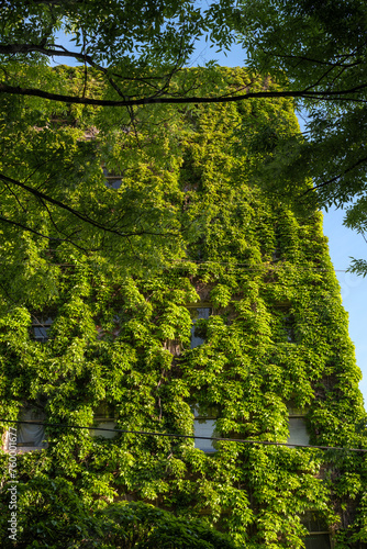 Green plant covered building  Seattle  Washington  USA