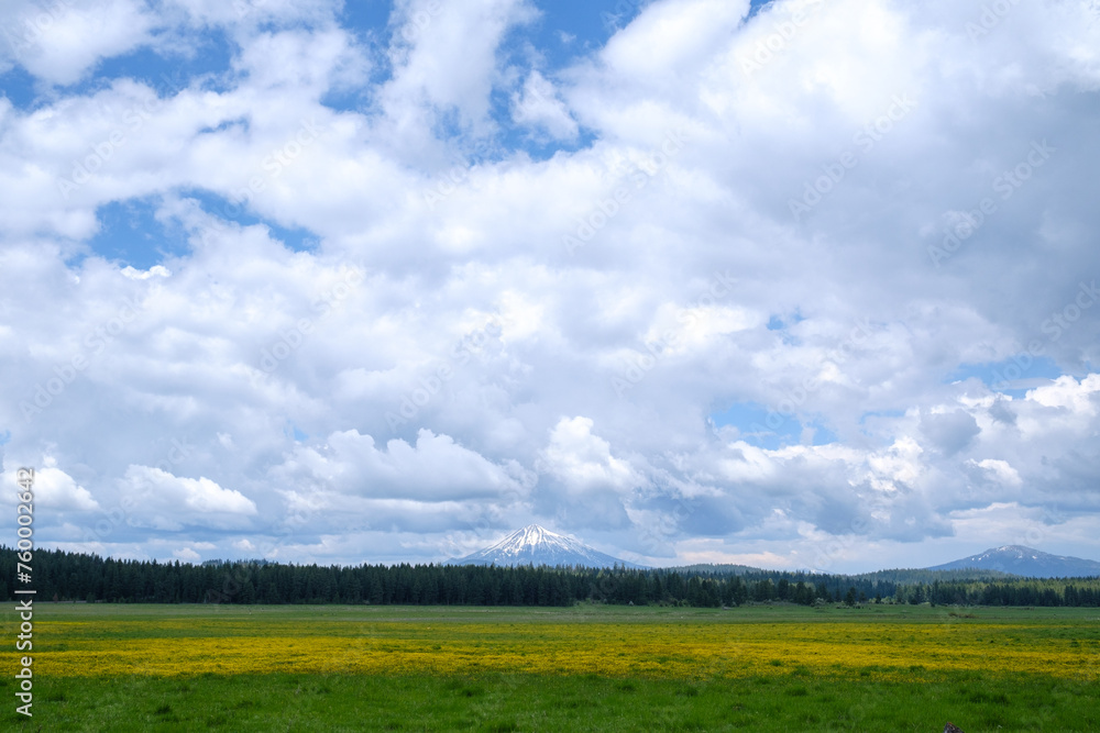 Obraz premium Mount Rainier, Oregon, USA