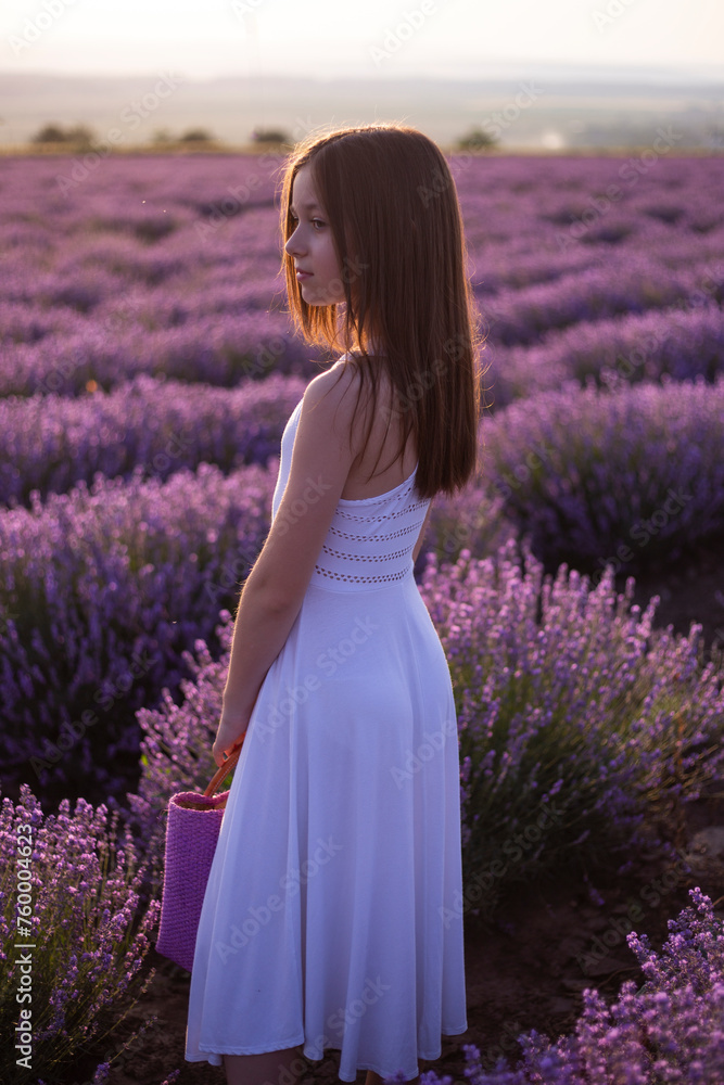 The young girl poses in a field of lavender flowers at greateful sunset. The young girl poses in a field of lavender flowers at greateful sunset.