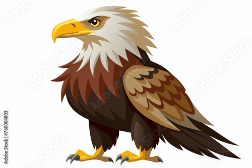 Eagle  flat style  vector illustration artwork 