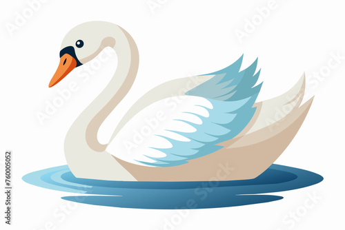 Swan in the water  flat style  vector illustration artwork