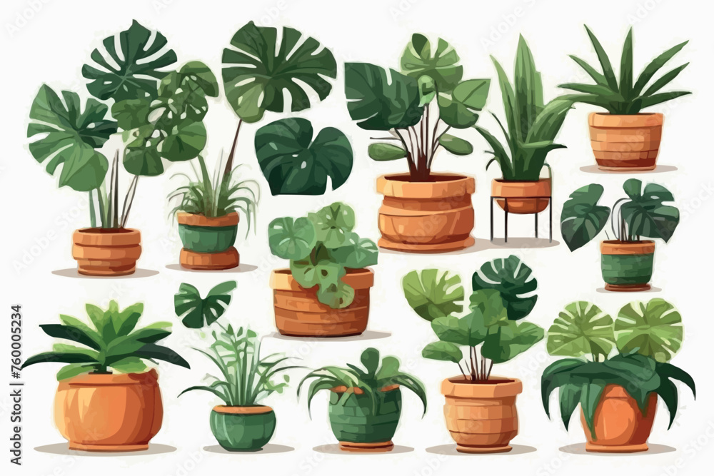 Collection of house indoor house plants monstera, cactus etc. vector pack with green plants in pots clipart Collection of house indoor house plants monstera, cactus etc. vector pack with green plants in pots clipart