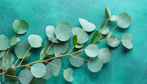 eucalyptus twig on green blue background leaves on a painted concrete background © Alla
