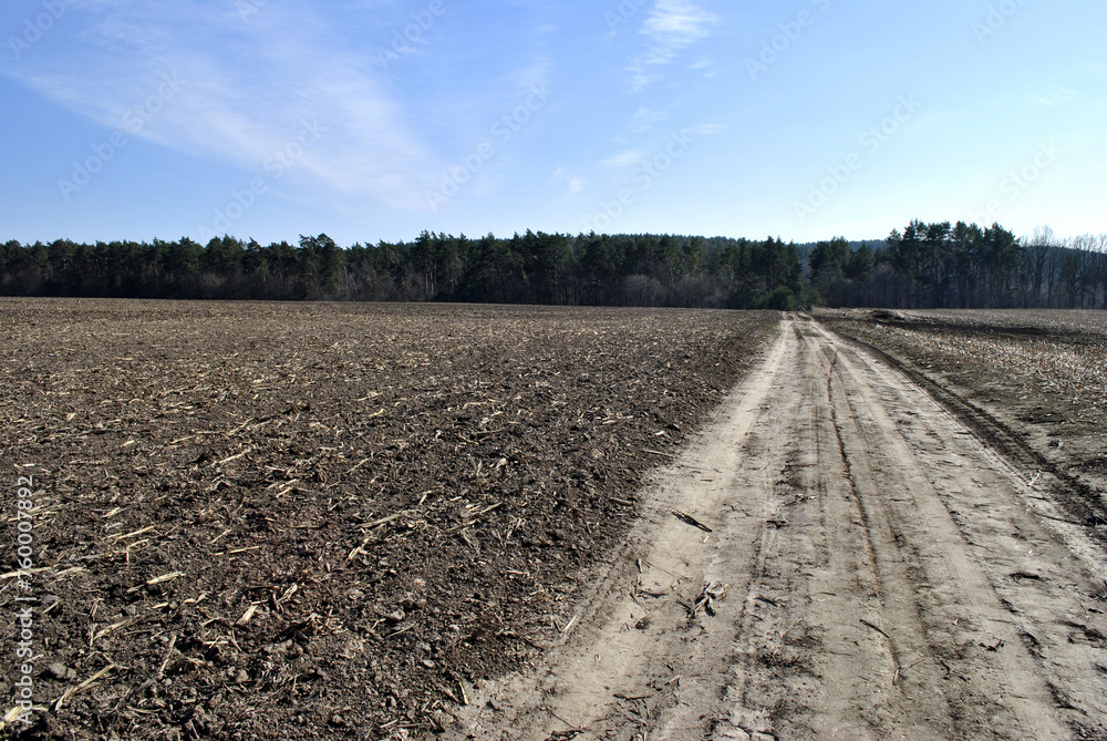 road in the field road in the field
