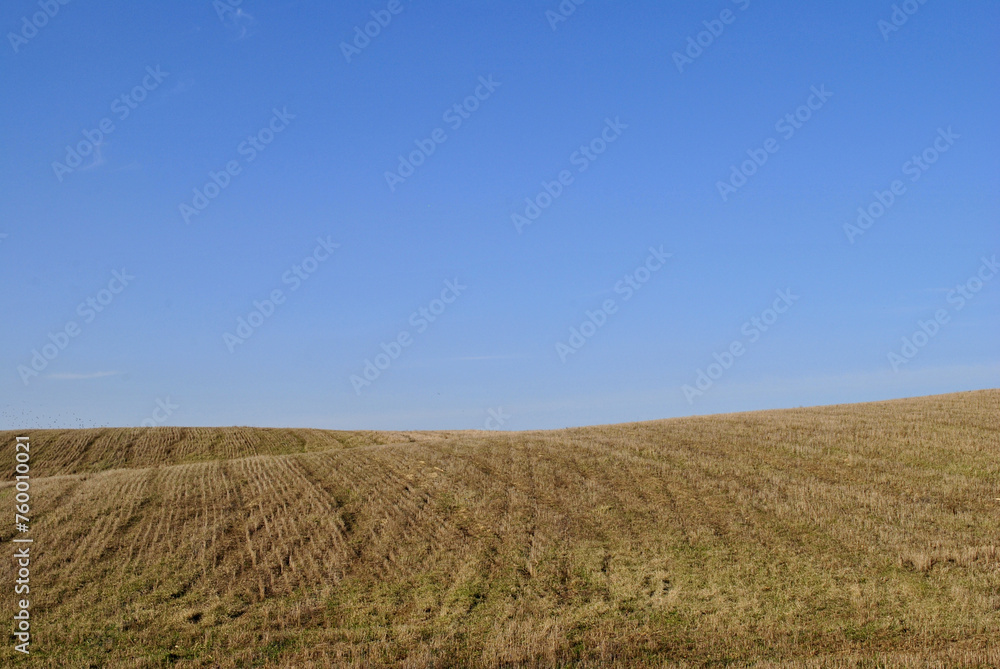 field in spring and sky