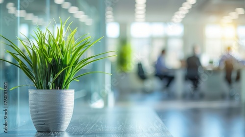 Blurred office background with plant on side, coworking, banner, copy space photo