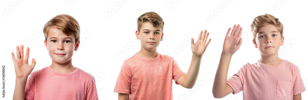 Portrait Collection of young white boy in pink shirt with wave hand pose isolated on a white background as transparent PNG
Portrait Collection of young white boy in pink shirt with wave hand pose isolated on a white background as transparent PNG