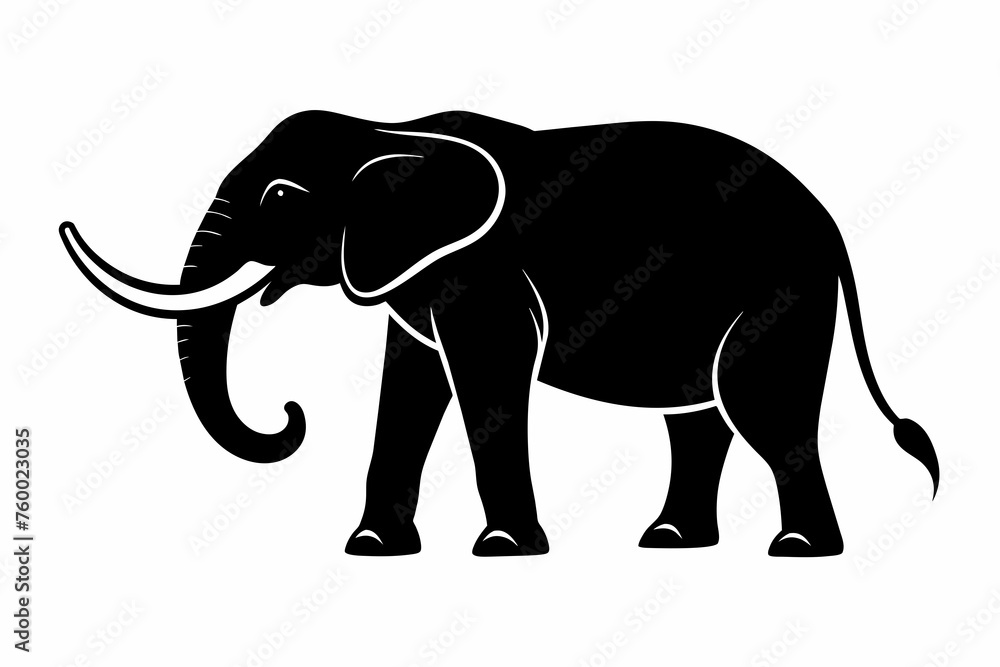 Fototapeta premium silhouette of elephant on white background