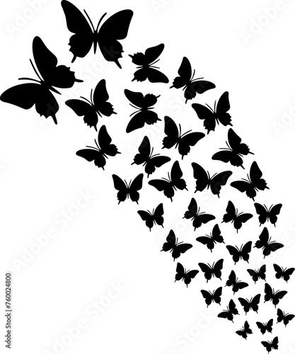 Swarm of Butterflies