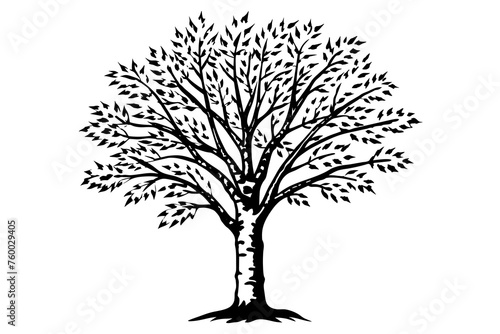 tree vector illustration