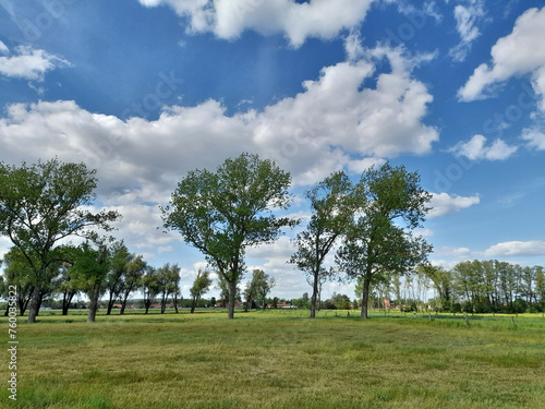 Weideland bei Brielow im Havelland