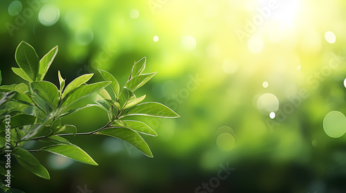 Natural green leafy plant background