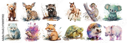 Adorable Watercolor Illustrations of Baby Animals Including a Bear, Deer, Raccoon, Horse, Monkey, Koala, Arctic Fox, Hedgehog, Fox, Turtle, Porcupine