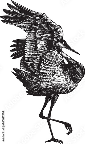 Stork hand drawing, vintage engraving heraldic style 01 (ID: 760047274)