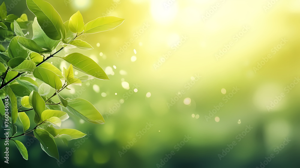 Soft blurred natural background with bokeh Soft blurred natural background with bokeh