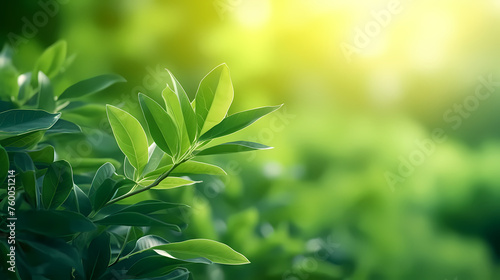 Soft blurred natural background with bokeh