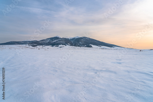 Winter landscape, open winter scene