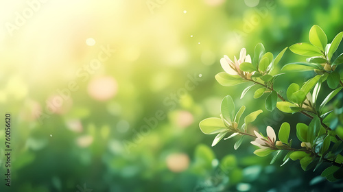 Close-up of vibrant green plants © xuan