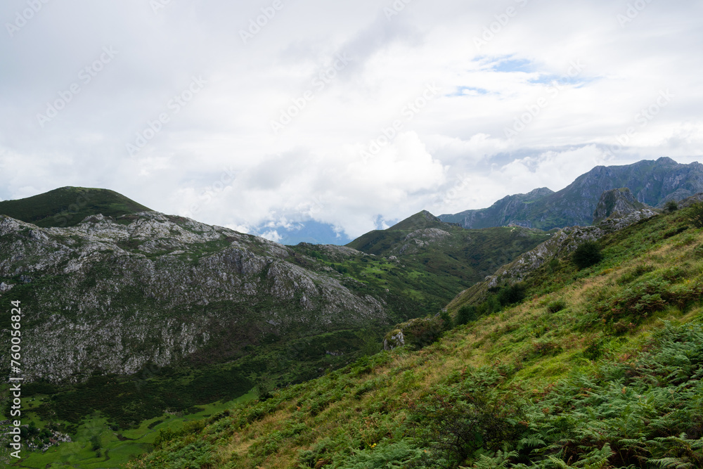 Landscape with green vegetation and mountains in the Picos de Europa