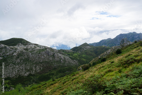 Landscape with green vegetation and mountains in the Picos de Europa