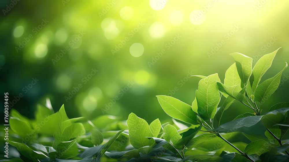 green plant background green plant background