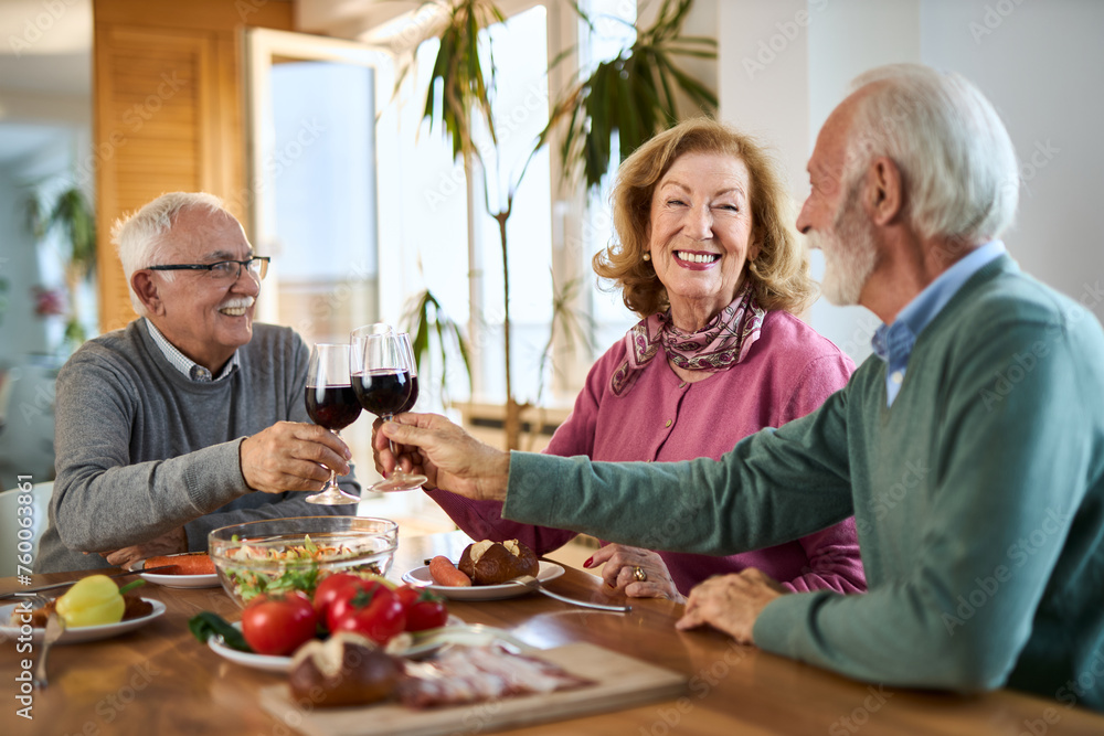 Happy senior friends having fun while toasting with red wine during a meal at dining table. Happy senior friends having fun while toasting with red wine during a meal at dining table.