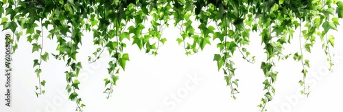 Ivy Cascade with Green Leaves, Illustration Isolated on White Background. Generative AI. 