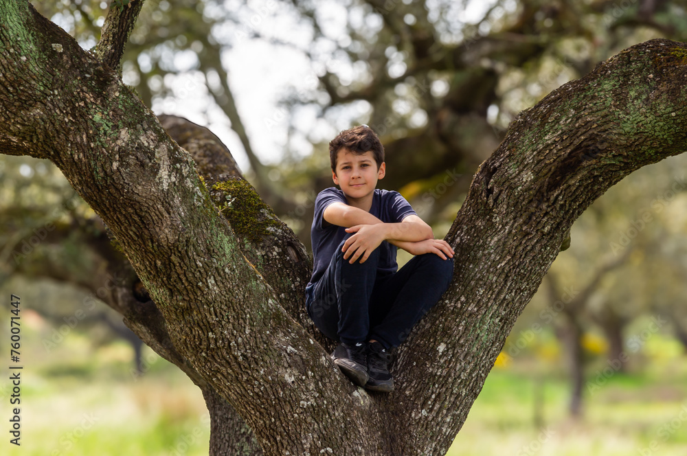 Juvenile explorer: 13-year-old boy among the branches of an oak tree. Juvenile explorer: 13-year-old boy among the branches of an oak tree.