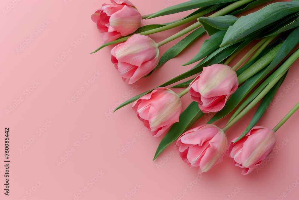 Romantic Pink Tulips: Capturing Spring's Beauty Romantic Pink Tulips: Capturing Spring's Beauty