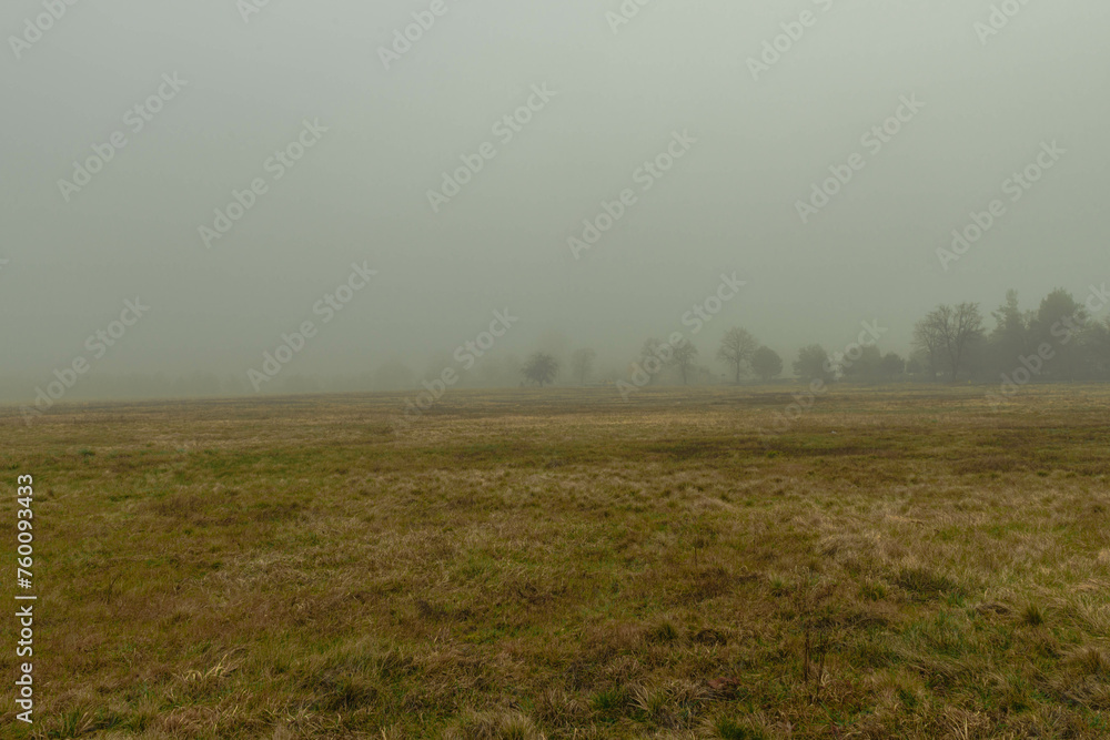 Rozległa równina w zimowy, bezśnieżny poranek pokryta żółtą, suchą trawą. Nad ziemią unosi się gęsta mgła. We mgle widać niewyraźnie w oddali bezlistne drzewa.