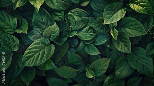 Closeup nature green leaves foliage texture background. AI generated image