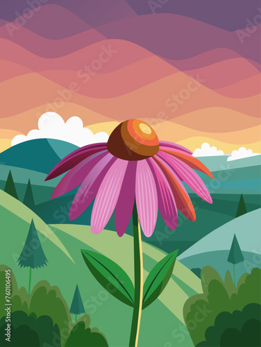 Coneflowers bloom in a field with a setting sun in the distance.