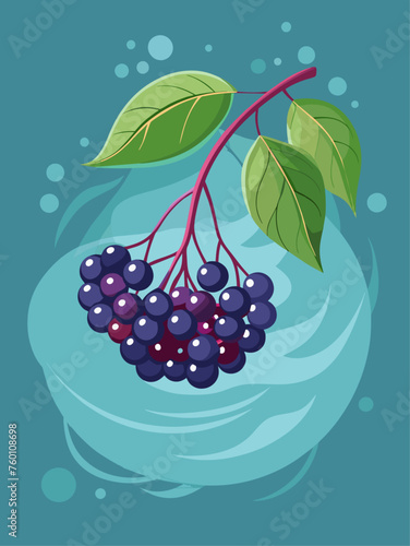 Refreshing elderberry fruit water, a summery beverage with a rich purple hue and delicate floral notes.