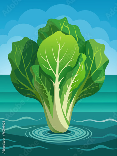 Crisp escarole leaves glisten against a watery backdrop.