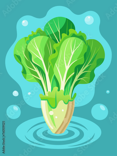 Crisp escarole leaves glisten against a watery backdrop.