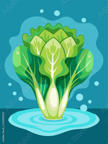 A green and white escarole vegetable sits in a shallow pool of water, its leaves unfurling gracefully.