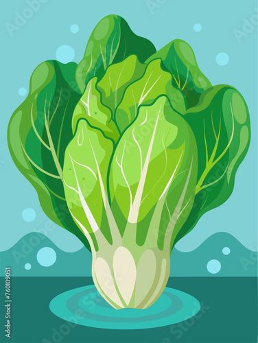 Crisp escarole leaves glisten against a watery backdrop.