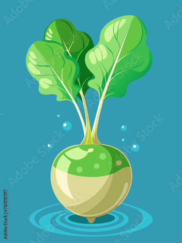 A kohlrabi vegetable rests on a water background, its green leaves and bulbous stem creating a vibrant display.
