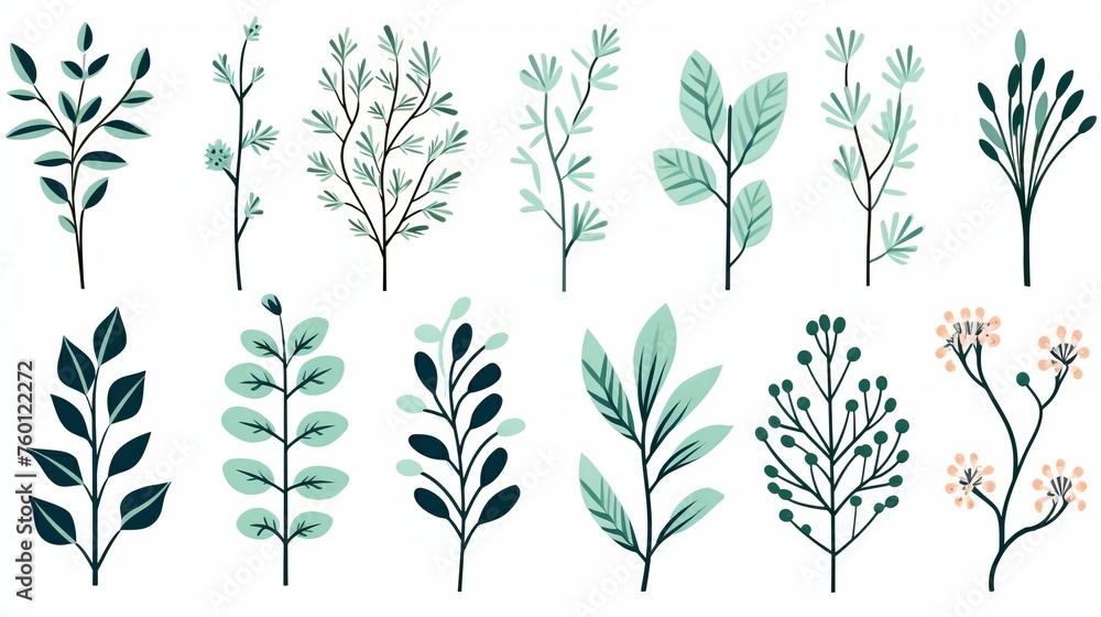 A soothing assembly of botanical illustrations showcasing various green leaves, ideal for eco-friendly and natural themes