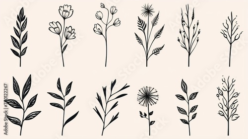A set of various hand-drawn floral and plant illustrations on a soft beige background perfect for patterns and decor
