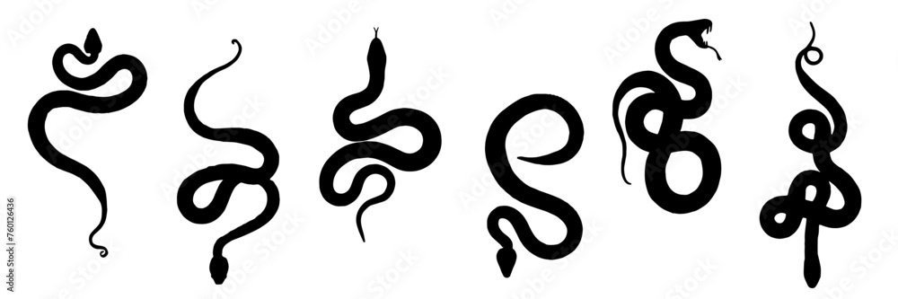 Silhouette of a snake Silhouette of a snake
