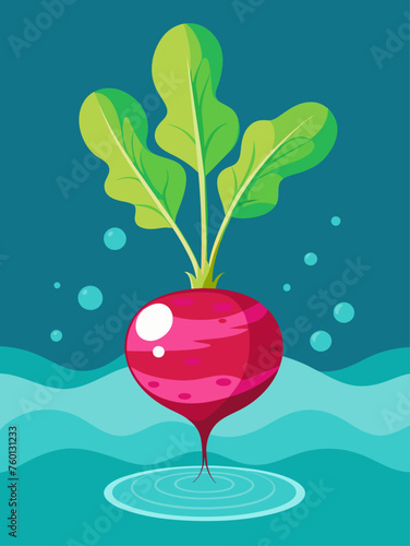 A vibrant radish lies submerged in a pool of water, its vibrant red skin contrasting against the clear liquid.