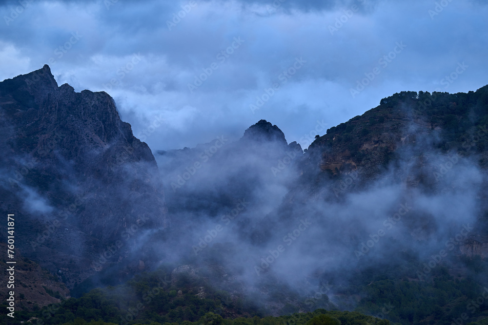 Spain Andalucia spring surrounding lonely tree mountains clouds tunnel Spain Andalucia spring surrounding lonely tree mountains clouds tunnel