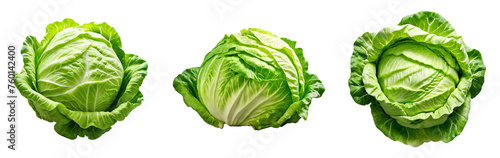 Iceberg Lettuce isolated on a transparent background