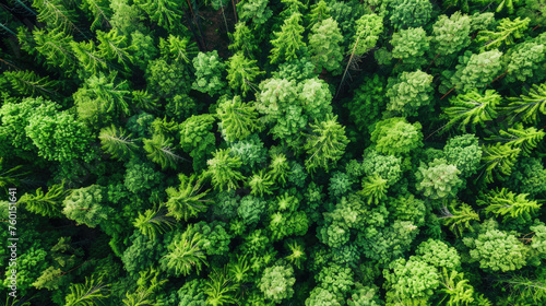 Overview of Carbon Sequestration Concept, news, illustration, image, article, newspaper